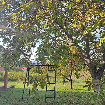 Ramonda House * Brestovik