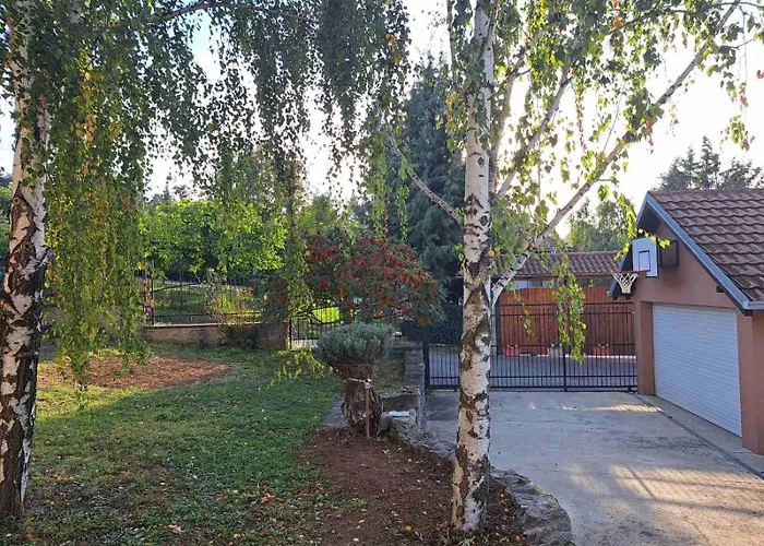 Ramonda House Case de vacanță