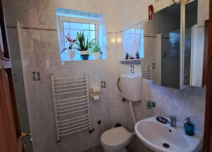 Ramonda House Case de vacanță