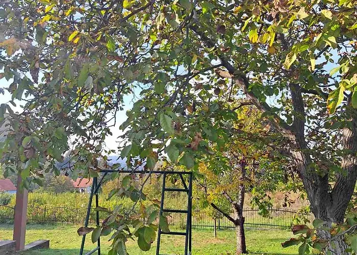 Ramonda House * Brestovik